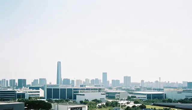 如何创建网站:信息查询平台的适用场景解析